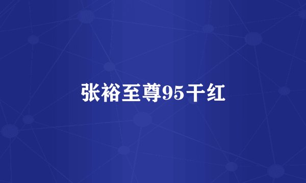 张裕至尊95干红