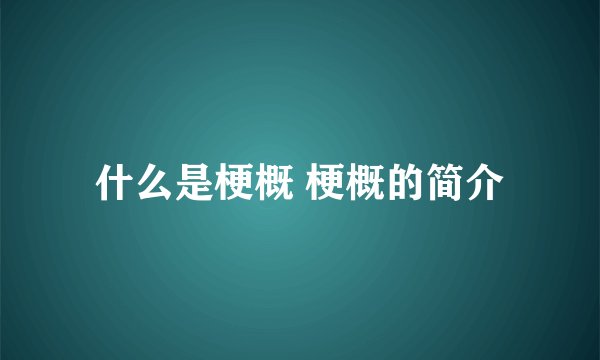 什么是梗概 梗概的简介