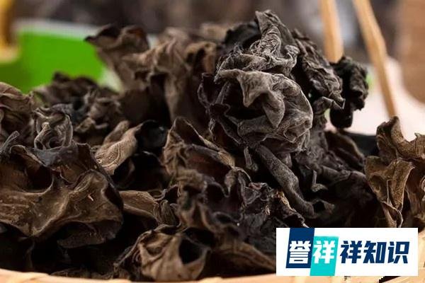 阳台蔬菜常用到的六种扦插方法，总有一种适合你！
