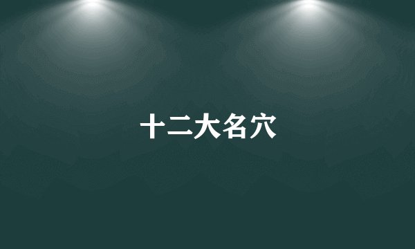 十二大名穴