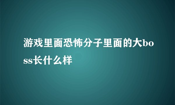 游戏里面恐怖分子里面的大boss长什么样