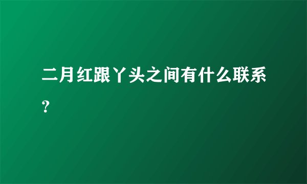 二月红跟丫头之间有什么联系？