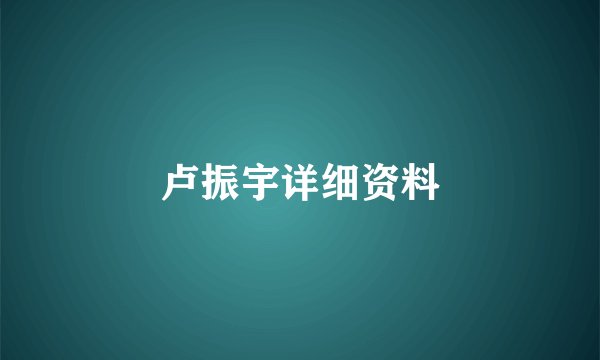 卢振宇详细资料
