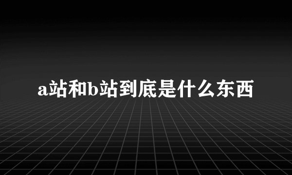 a站和b站到底是什么东西