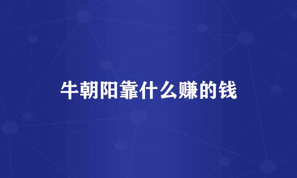 牛朝阳靠什么赚的钱