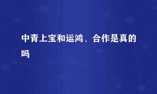 中青上宝和运鸿、合作是真的吗