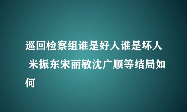 巡回检察组谁是好人谁是坏人 米振东宋丽敏沈广顺等结局如何