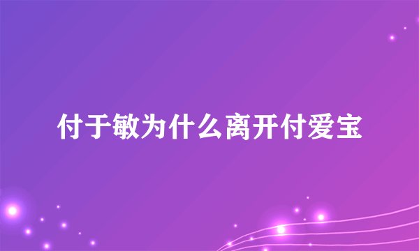 付于敏为什么离开付爱宝