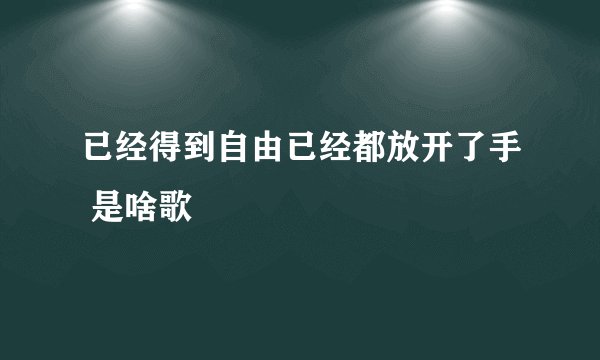 已经得到自由已经都放开了手 是啥歌