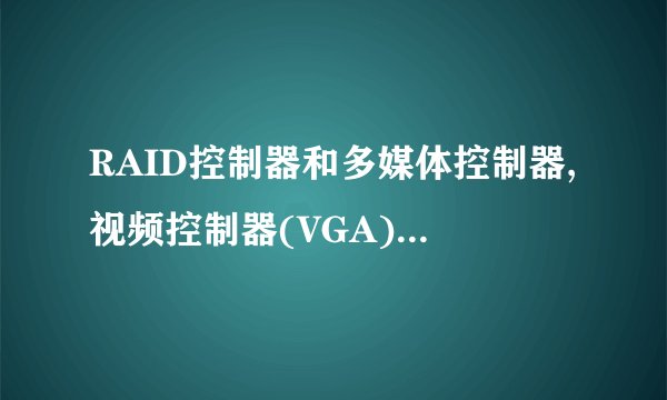 RAID控制器和多媒体控制器,视频控制器(VGA)兼容这些是什么啊