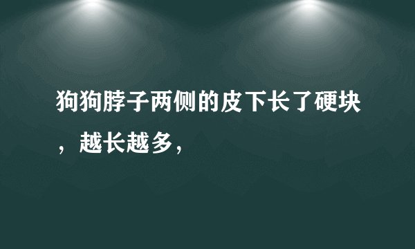 狗狗脖子两侧的皮下长了硬块，越长越多，
