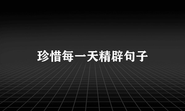 珍惜每一天精辟句子