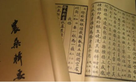 《农桑辑要》：孳畜·养马牛总论 全文及翻译注释
