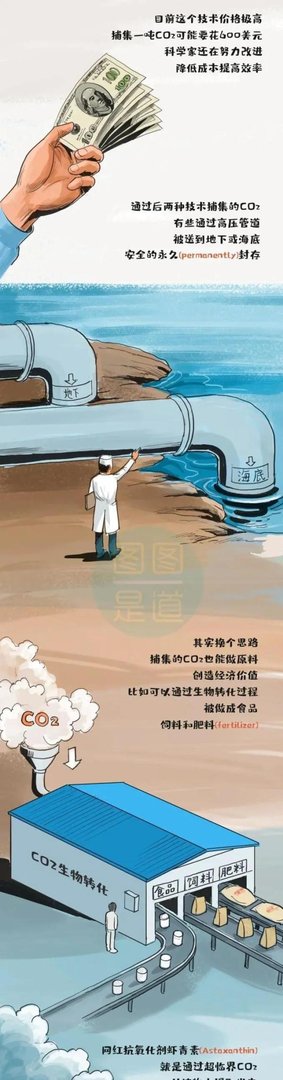 什么叫“碳达峰、碳中和”？一副漫画看明白