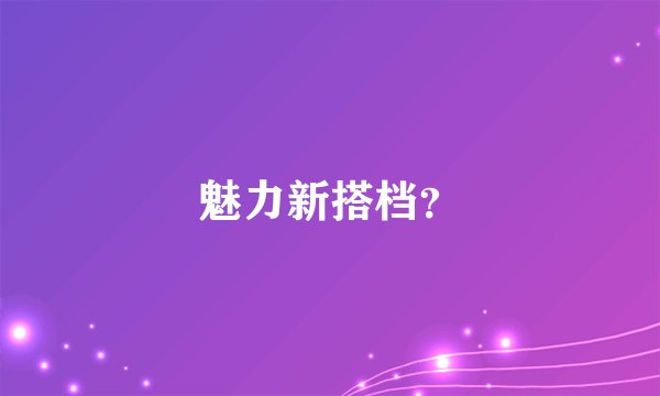 魅力新搭档？