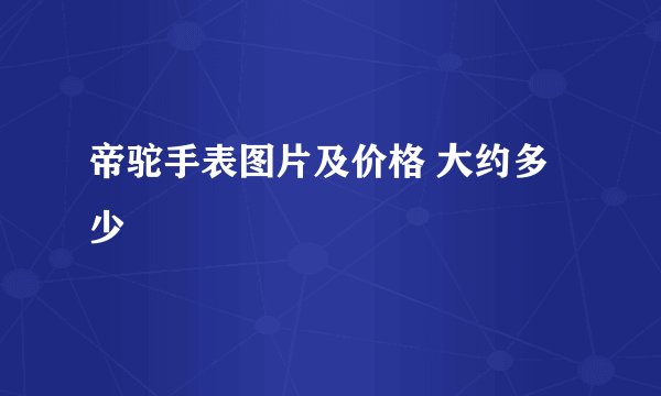 帝驼手表图片及价格 大约多少