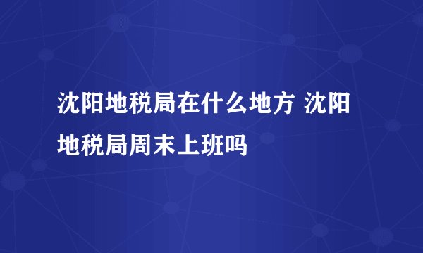 沈阳地税局在什么地方 沈阳地税局周末上班吗