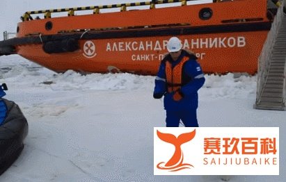 萨摩耶走丢一周后，主人接到陌生人电话：你家狗在北极呢！