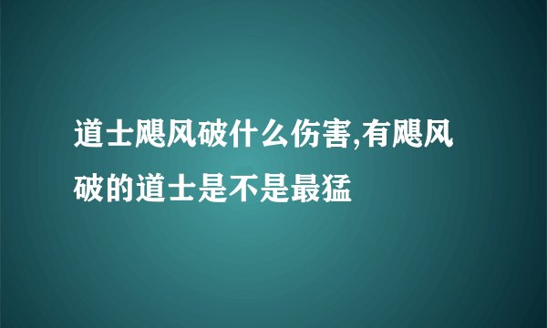 道士飓风破什么伤害,有飓风破的道士是不是最猛