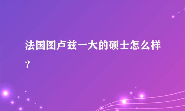 法国图卢兹一大的硕士怎么样？