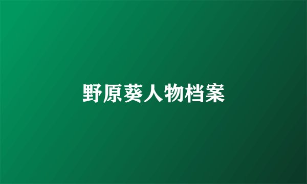 野原葵人物档案