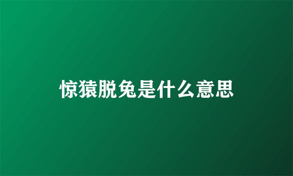 惊猿脱兔是什么意思