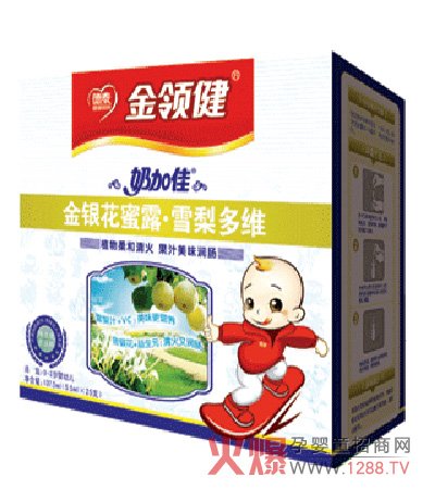 金领康的介绍