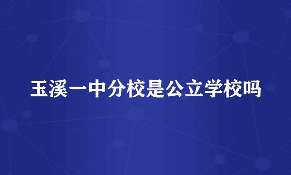 玉溪一中分校是公立学校吗