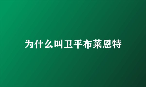 为什么叫卫平布莱恩特