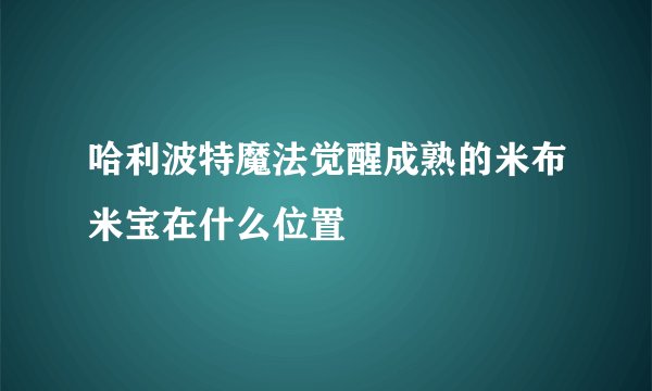 哈利波特魔法觉醒成熟的米布米宝在什么位置