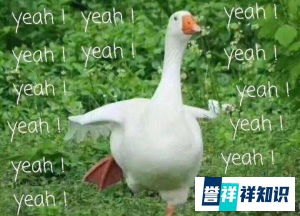 下雨ing,“Rain on me”是“在我身上下雨”吗?
