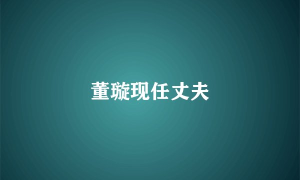 董璇现任丈夫