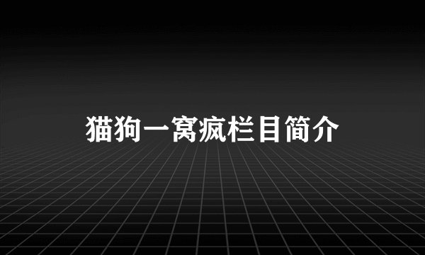 猫狗一窝疯栏目简介