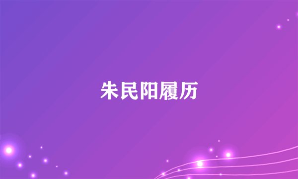 朱民阳履历