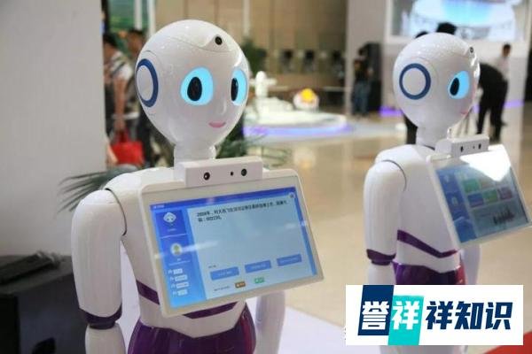 小伙30多万买机器人对外租8000一天