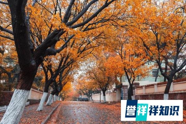 2023年末伏不一般,今年什么时候出伏?出伏后还要热多久?