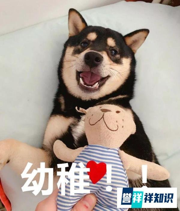 真“刑”！为了一身新衣裳，学霸替考被当场抓获……