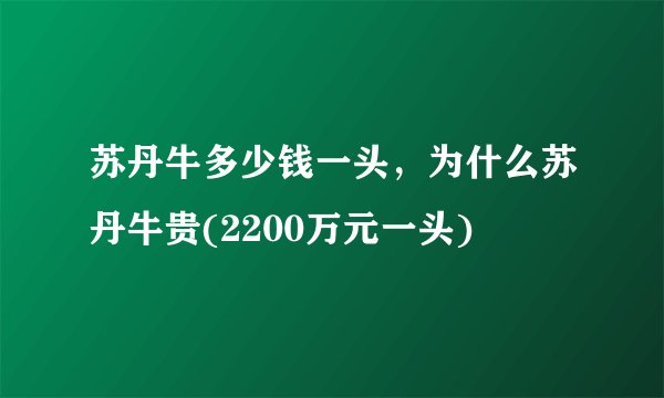 苏丹牛多少钱一头，为什么苏丹牛贵(2200万元一头)