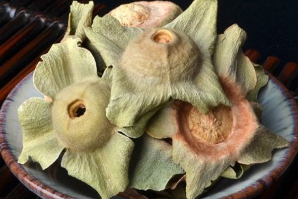 蒂的解释意思