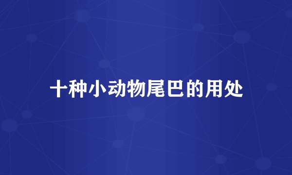 十种小动物尾巴的用处