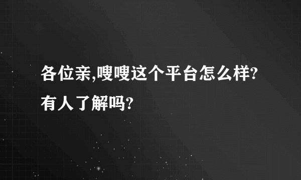 各位亲,嗖嗖这个平台怎么样?有人了解吗?