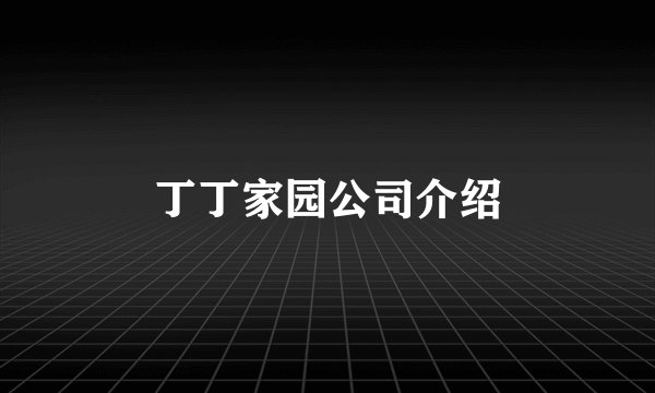 丁丁家园公司介绍