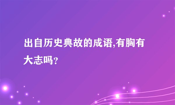 出自历史典故的成语,有胸有大志吗？