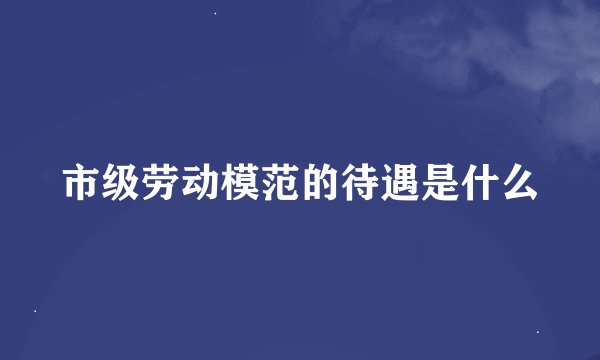 市级劳动模范的待遇是什么