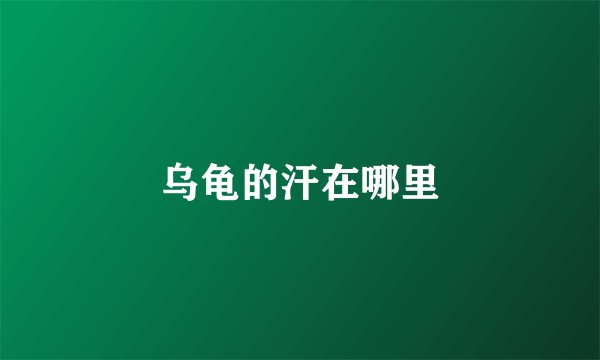 乌龟的汗在哪里
