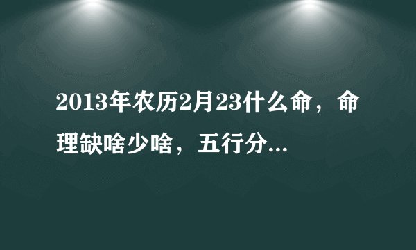 2013年农历2月23什么命，命理缺啥少啥，五行分析，谢谢内行者答案