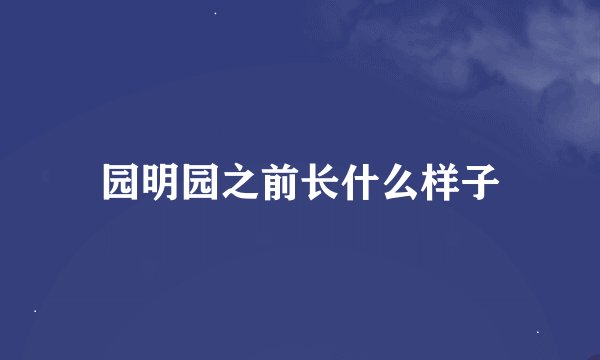 园明园之前长什么样子
