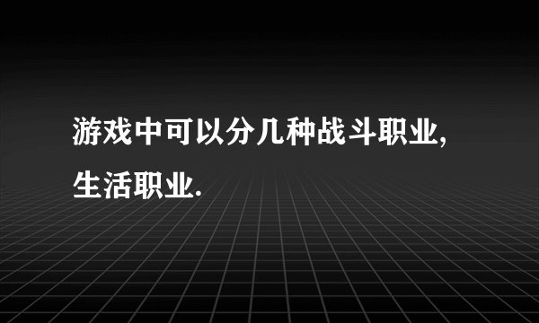 游戏中可以分几种战斗职业,生活职业.