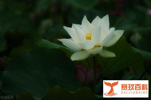 岁月静好,现世安稳,宁静中缓缓致远,时光中慢慢知味