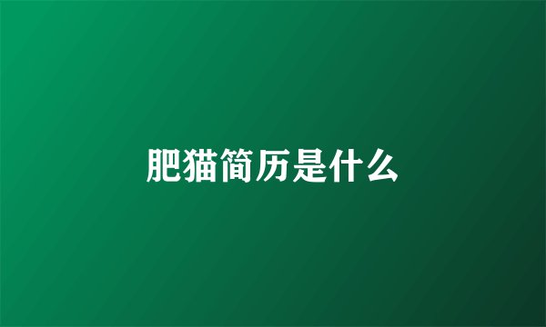 肥猫简历是什么